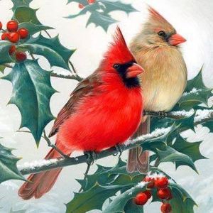 Meet your Posher, Marcie